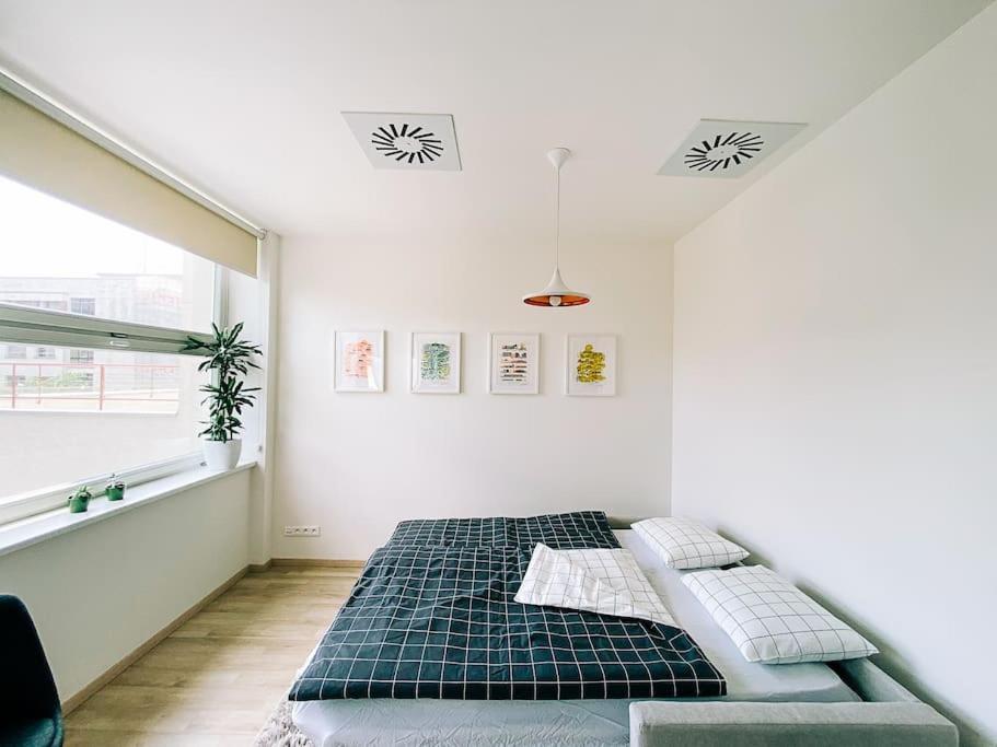 New Studio In Quiet Part Of The City Center Bratislava Eksteriør billede